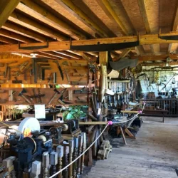 Sauvons le Musée Papotte : un appel à la mobilisation pour préserver la mémoire locale